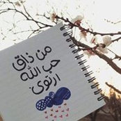 Amr Ali's photo