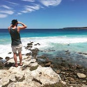 Josh Lewis's photo