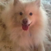 Dianna Garner's photo