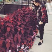 Mishal Syeda's photo