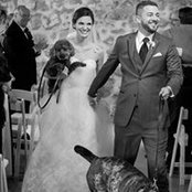AJ Cherenzia's photo