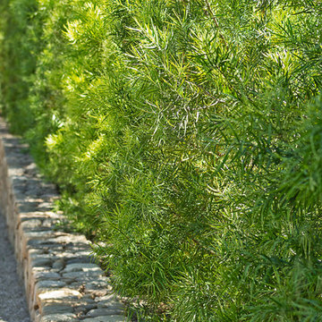 New 1-Year-Old Garden