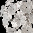 Lotus Murano Glass Chandelier