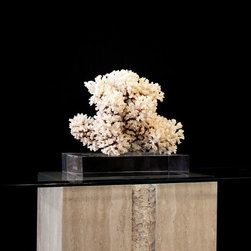 Decorative Objects - Decorative Accents