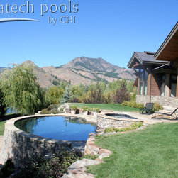 Hillside pool Ketchum Idaho - Products