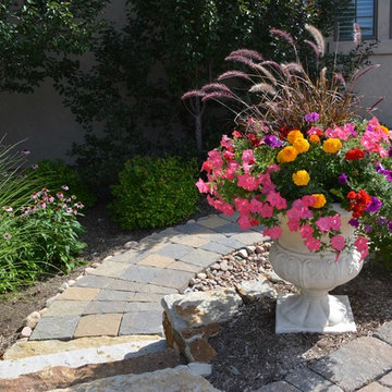 Annual Flowers