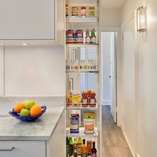 Kleine Moderne Küche ohne Insel mit Vorratsschrank, Doppelwaschbecken, flächenbündigen Schrankfronten, grauen Schränken, Quarzit-Arbeitsplatte, Küchenrückwand in Weiß, Küchengeräten aus Edelstahl und Vinylboden in Washington, D.C.