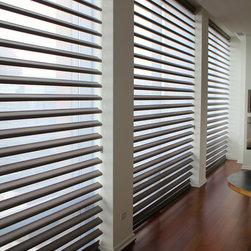 Hunter Douglas Pirouettes - Chicago - Window Treatments
