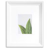VISTA Daintree 11"x14" Wide Bevel Frame, Matted to 5"x7", White