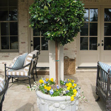 container garden