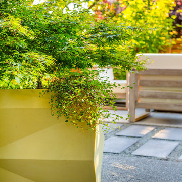 Fremont Firepit