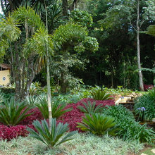 moms garden