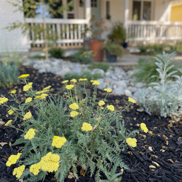 Native + Drought-Tolerant Front Yard