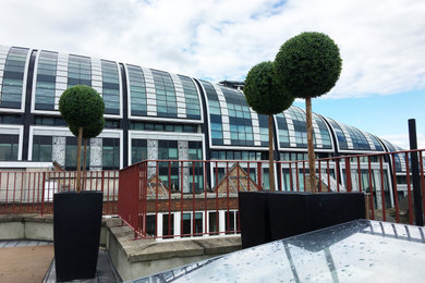 Design ideas for a small contemporary roof terrace in London with no cover.