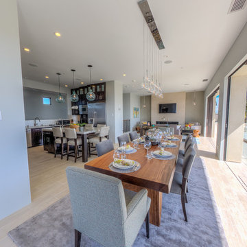 Eco-Friendly Kitchen & Living Room