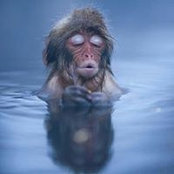 Vivek Gathwala's photo