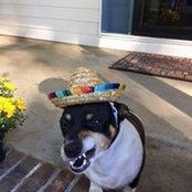 Ragan Baumheckel's photo