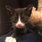 Dave Myers's photo