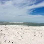 Debra Mroczkiewicz's photo