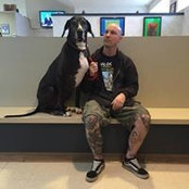Chris Rosenberg's photo