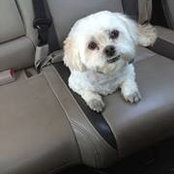Marc Stelzer's photo