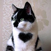 Foto von M Snatchko