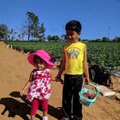 Subashini Krishnamurthy's photo