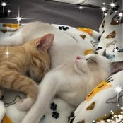 Paul Hietter's photo