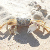 Kathleen Kramberg's photo