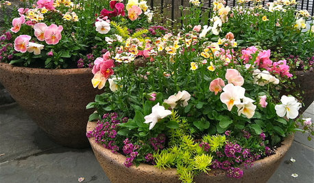 5 problemas comunes en el jardín y cómo solucionarlos