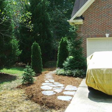 Natural Side & Back Yard
