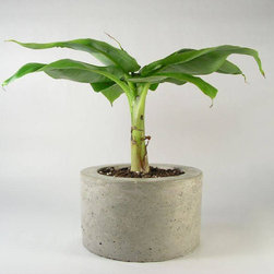 Light Concrete Pot - Home Office Accessories