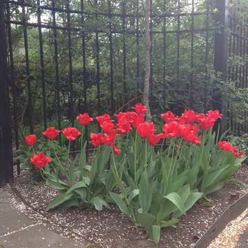 spring flowers