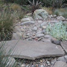 riverbed