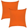 A1HC Nylon PU Coat Indoor/Outdoor Pillow Covers, Set of 2, Burnt Orange, 20"x20"