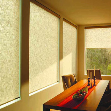 Roller Shades & Blinds