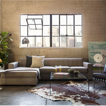 Living Room Ideas