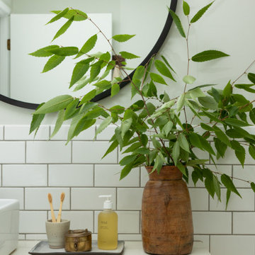 Classic Modern Bathroom Project