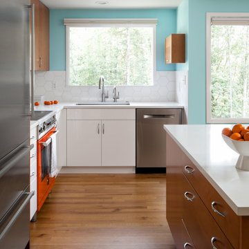 Fresh Mid-Century Kitchen Reno