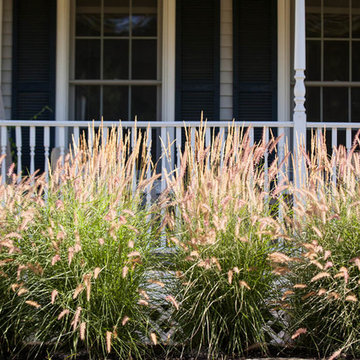Dry stream Front Walkway