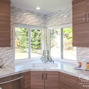 San Diego Modern Kitchen Remodel