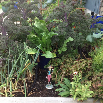 Vegetable & Herb Gardens
