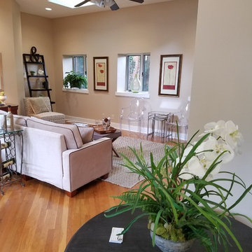Vacant Home Staging