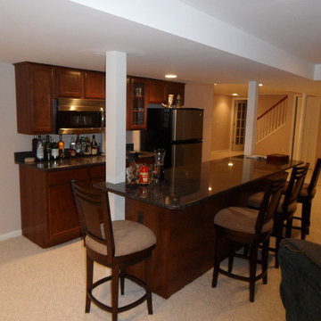 West Bloomfield Basement (Bar Area Populated)- RAY