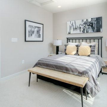 The Monument Series - Potomac Overlook Townhomes in National Harbor, MD