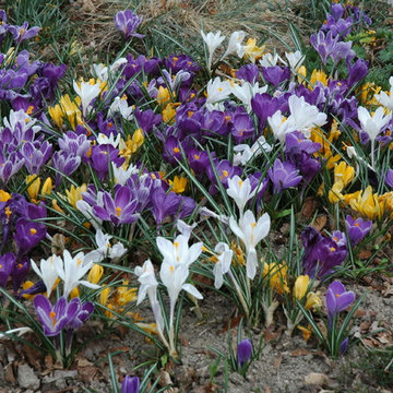 Unforgettable Bulb Display