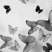 Anna Smith's photo