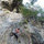 roxy_wacyk