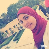 Noha Hany's photo