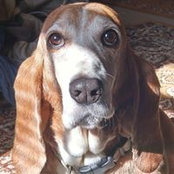 Jennifer Hensel's photo